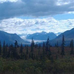 Meet your Posher, Jerry n bertha